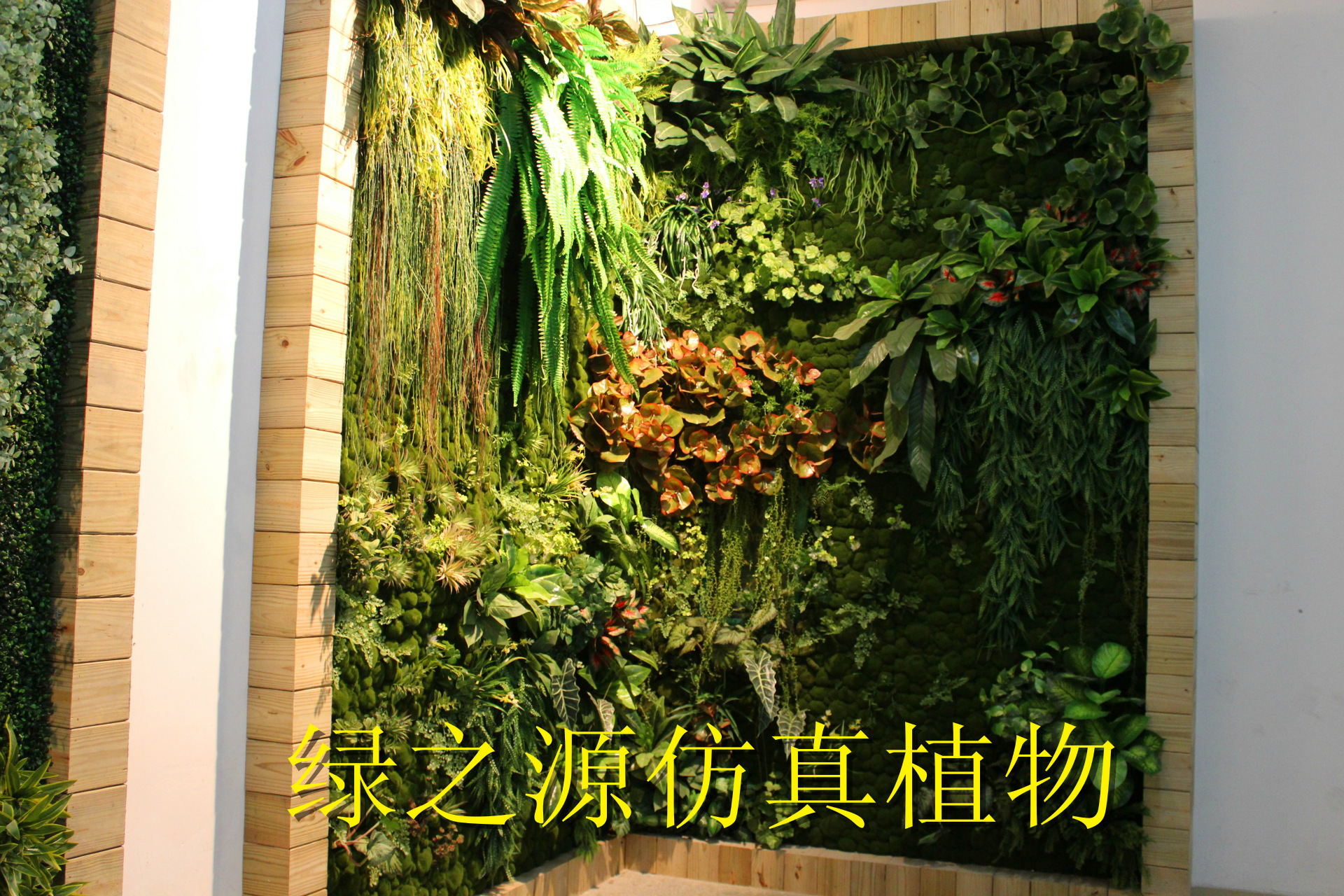 【植物墙工程 室内设计装饰工程 仿古植物工艺