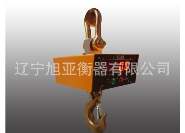 双面直视吊秤图一