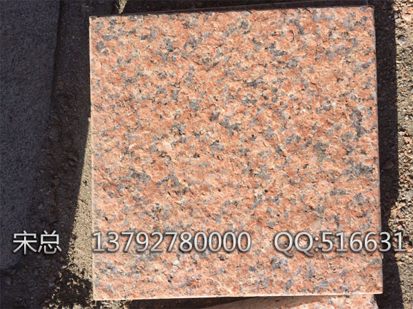 天山红 火烧面A