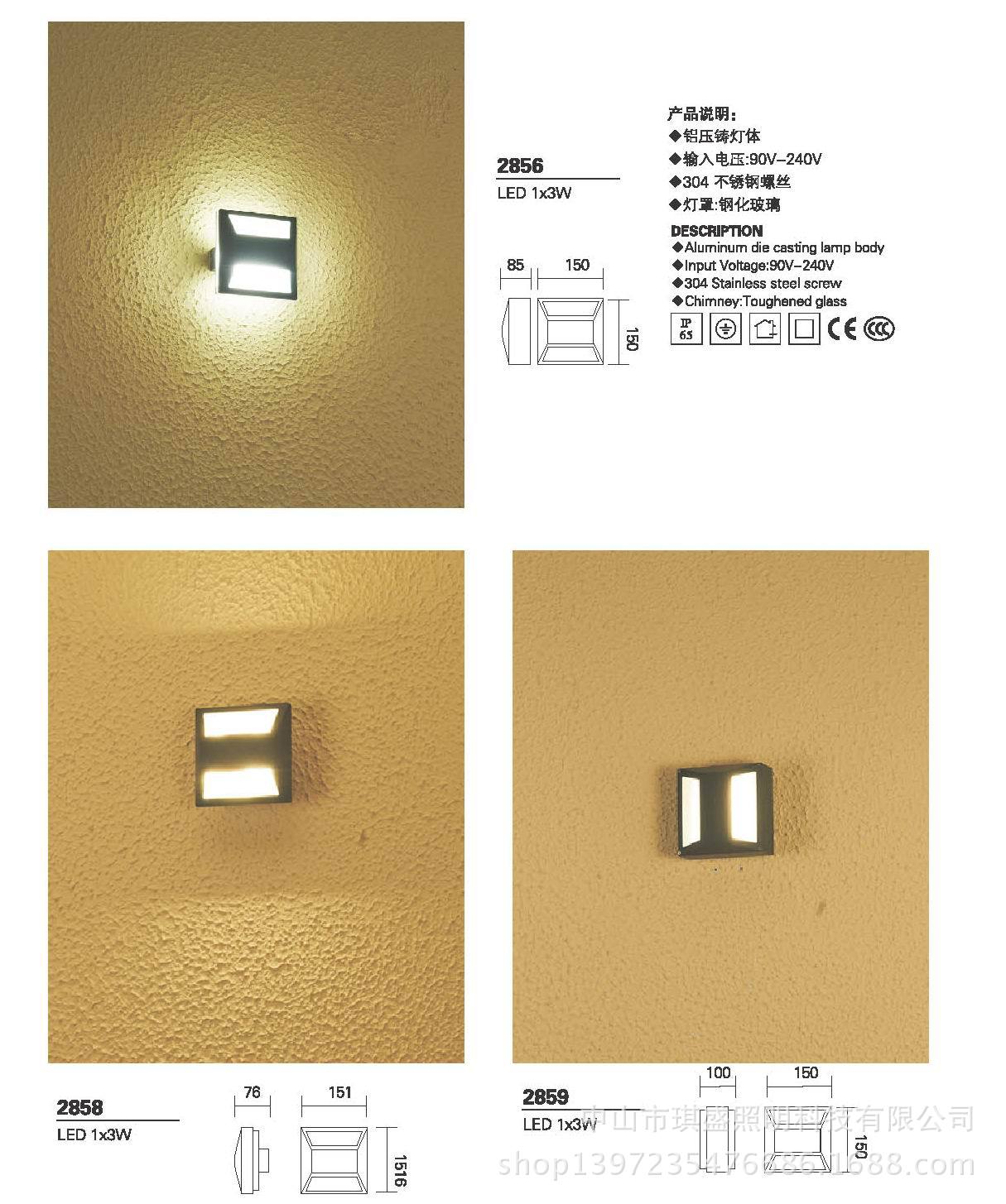 LED户外灯系�?856/58/59