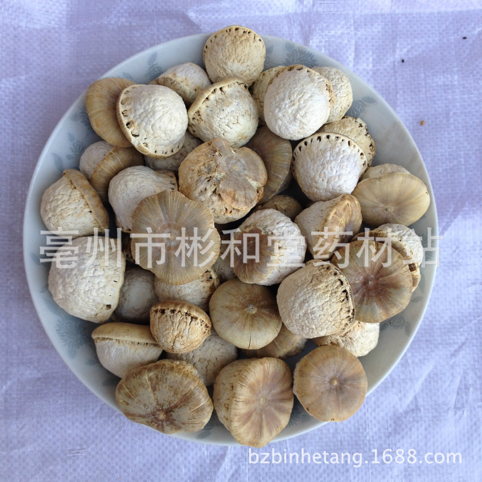 壮阳果批发 特级大粒 壮阳生精 补肾强腰 正品直销