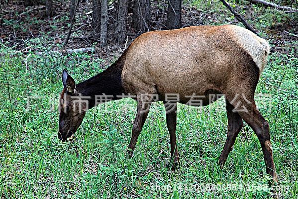 QQ图片20141106150513