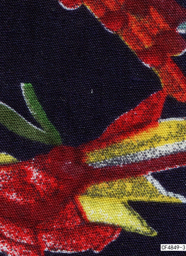 cf4849-3
