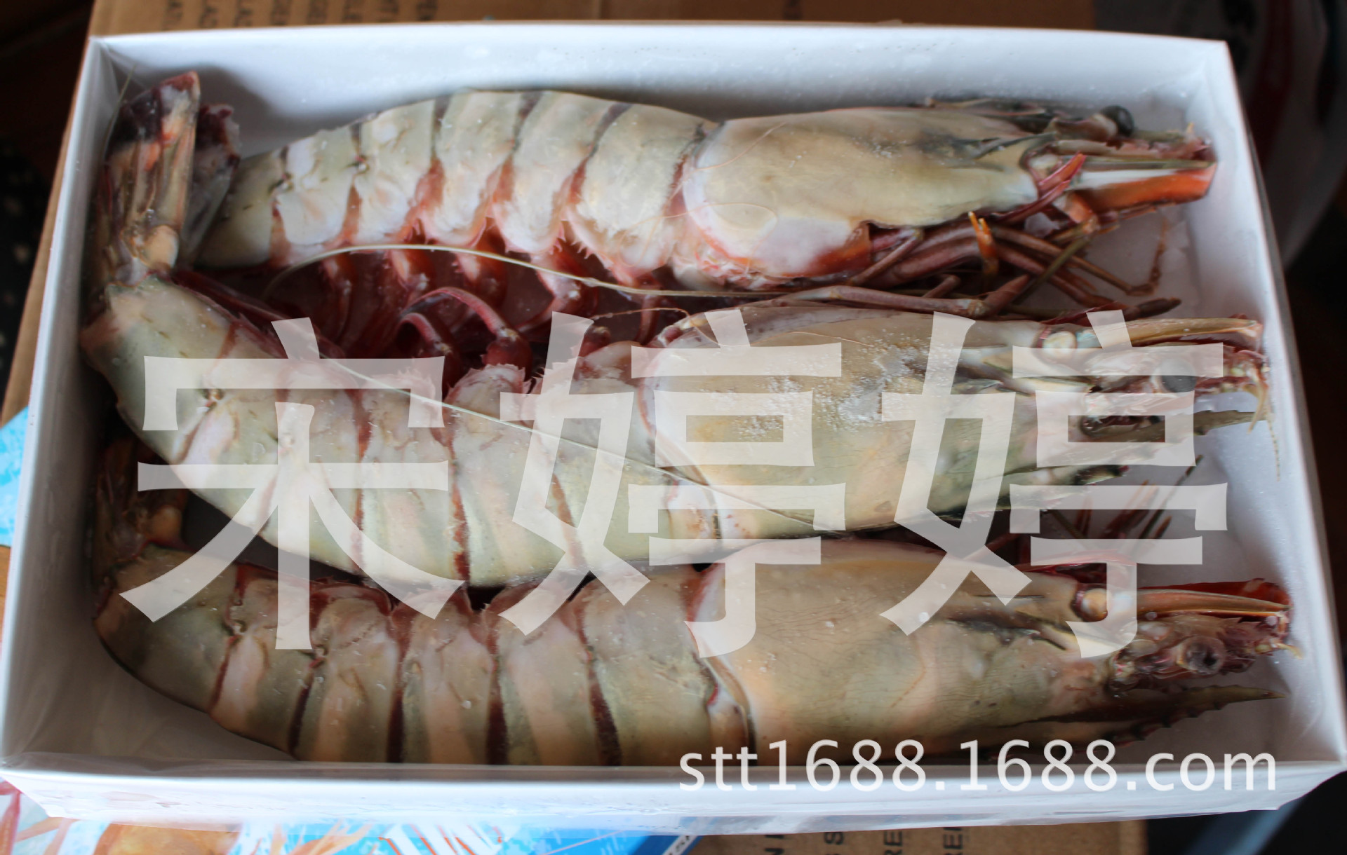 长期供应进口缅甸黑虎虾 老虎虾 酒店特供 海鲜礼品 虾类批发