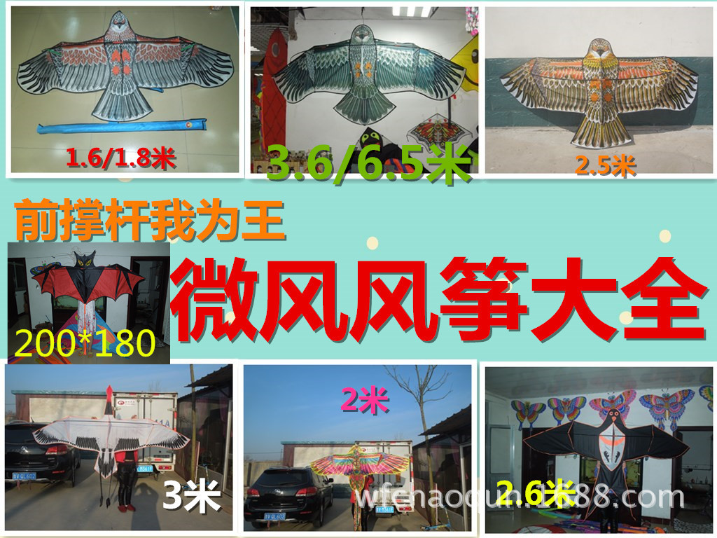 前撑杆大全_