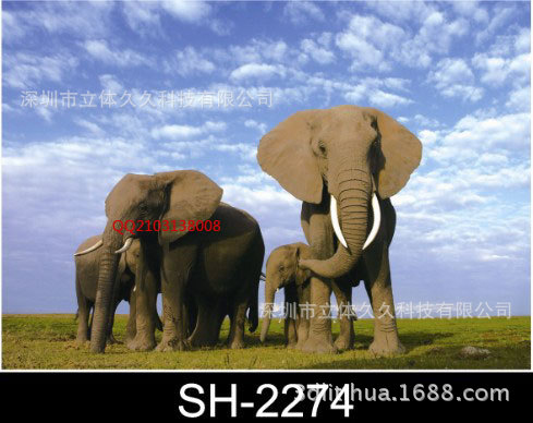 3D立体画厂家批发