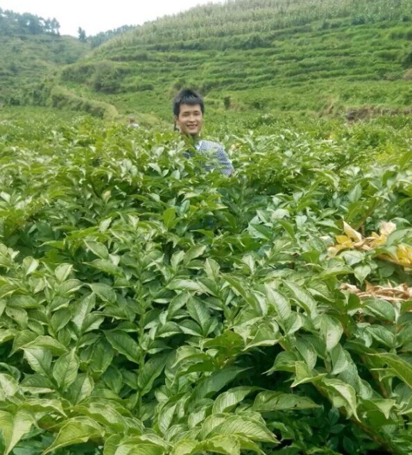 QQ图片20140910225344