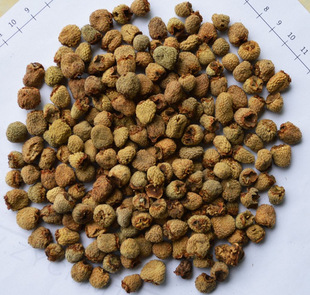 厂家直供 亳州中药材 中药饮片 中药药膳覆盆子 质量保证