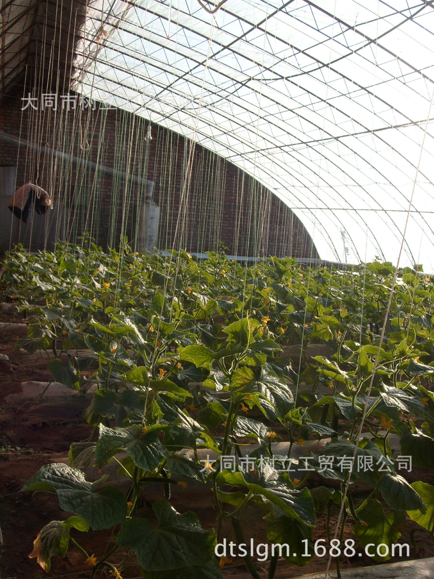 供应大棚内种植蔬菜供暖热风炉(6型在山西省境