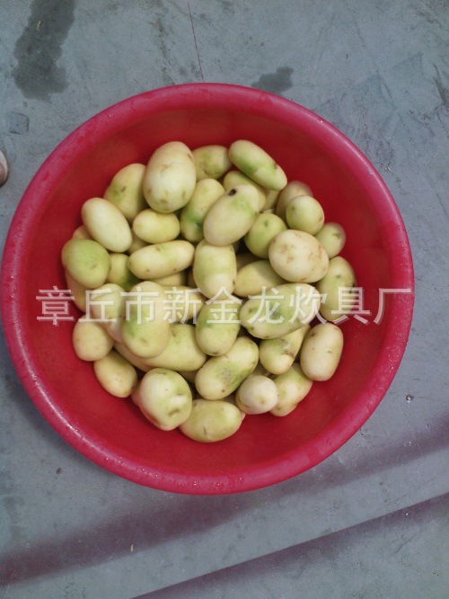 TP系列土豆芋头脱皮机