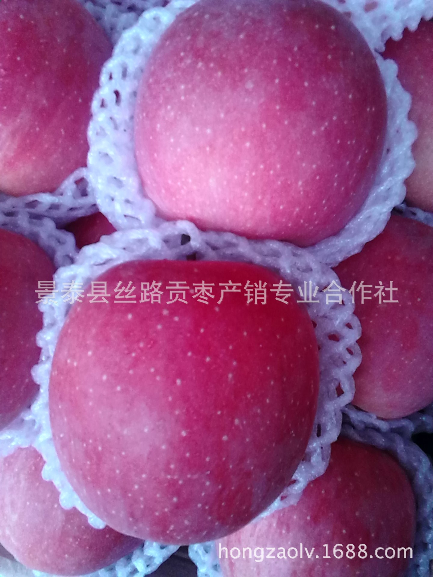 水果批发 丝路贡果 红富士苹果 有机食品