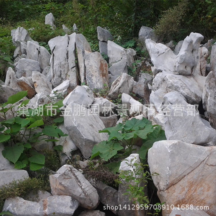 小太湖石 (9)