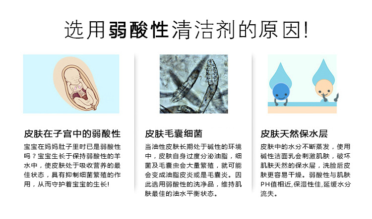 五味子描述_10