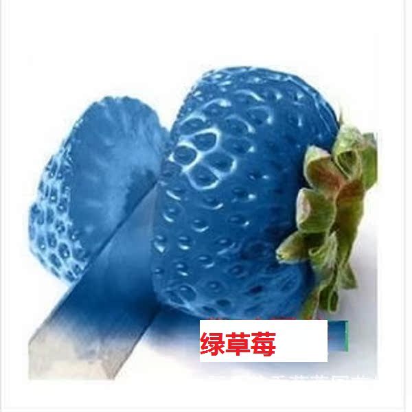 批发采购种苗、种子、种球-新攀援草莓 菠萝蜜