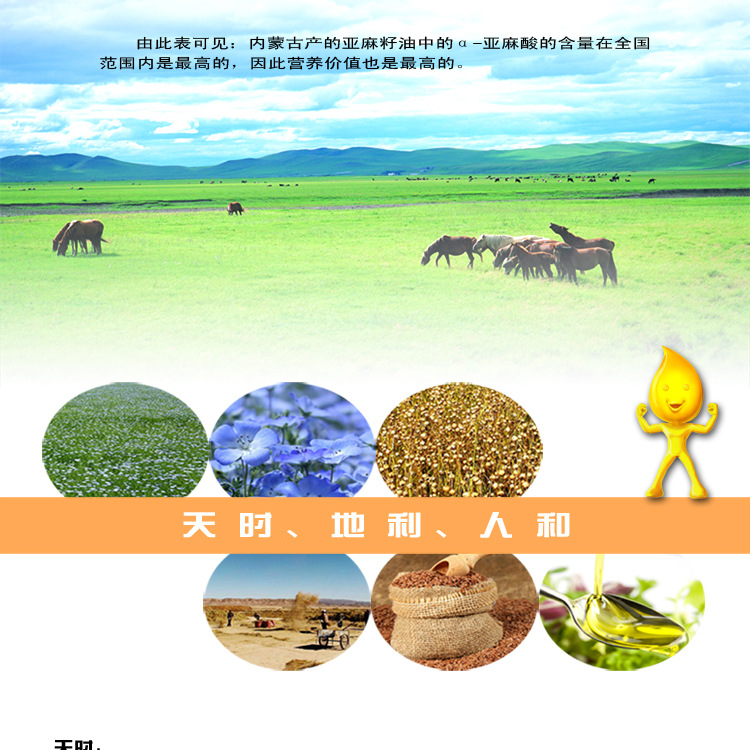 内蒙古非转基因亚麻籽大货批发  毛货 产地直供 榨油 出口 打粉