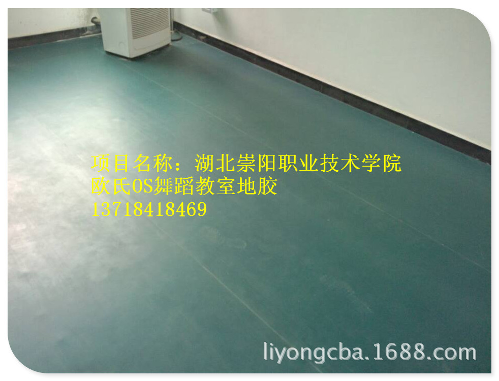 湖北崇阳职业技术学院_副本