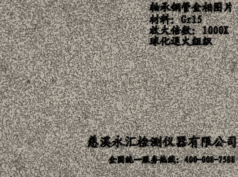 球化退火1000x