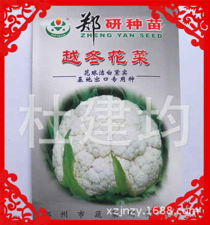 越冬花菜
