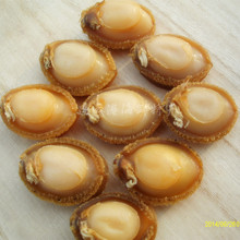 1头鲍_1头鲍价格_优质1头鲍批发\/采购