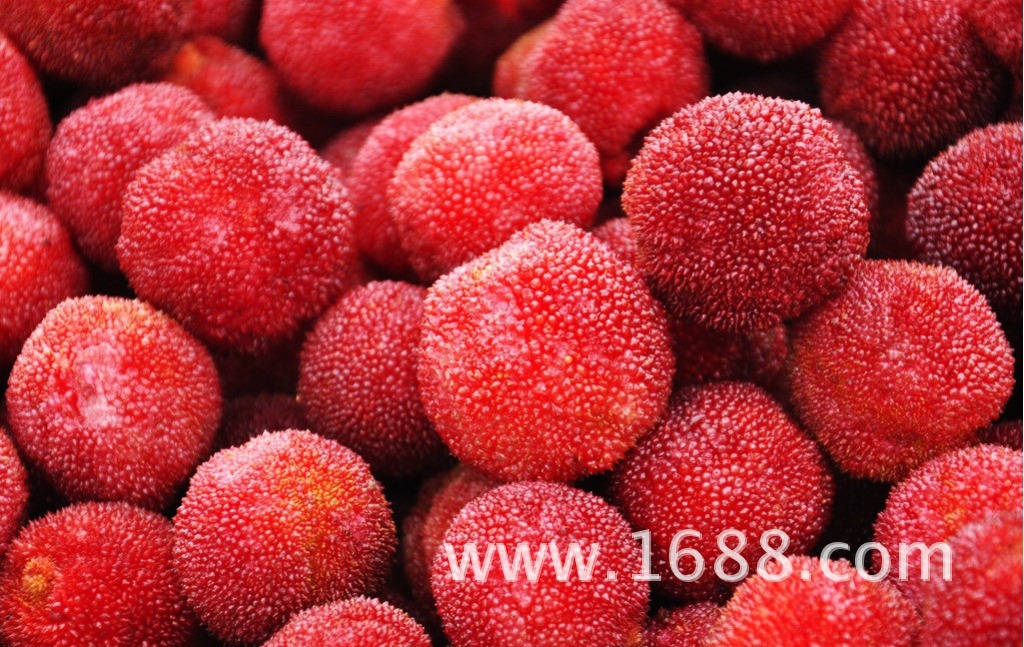 其他生鲜水果-湖南 特大 嫁接 新鲜杨梅 批发杨