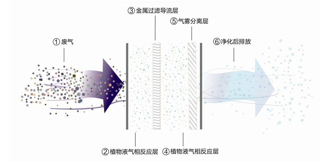 净化流程2