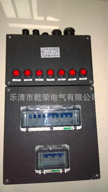 防爆防腐配电箱2