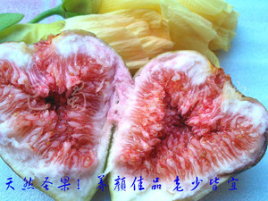 【高蛋白水果】高蛋白水果价格\/图片_高蛋白水