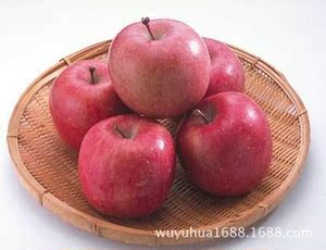 【昭通苹果】昭通苹果价格\/图片_昭通苹果批发