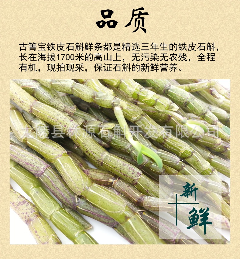 鲜条3