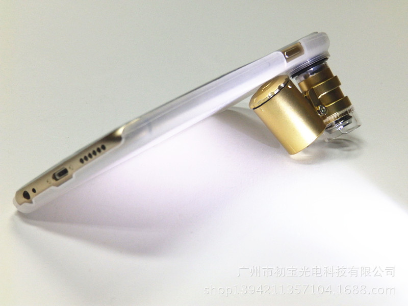 PA240667_副本