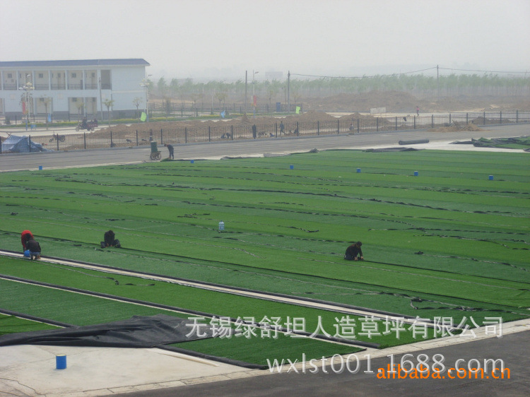 310028291_1777533011