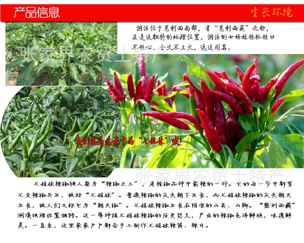 调味酱-湖南慈利洞溪<em>七姊妹</em>辣椒酱 <em>朝天椒</em>辣椒