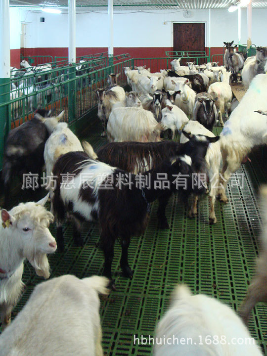 塑料羊床漏粪板用于山羊养殖场