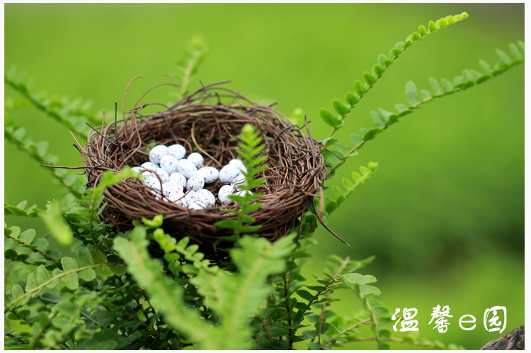 温馨e园 苔藓微景观饰品 幸福鸟窝系列 造景摆件