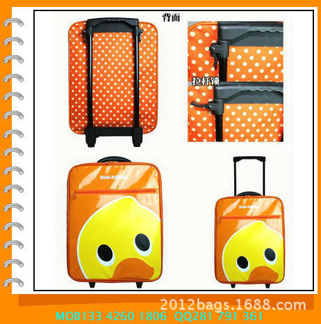 travel bag (3)