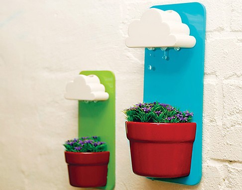 朵花盆Rainy Pot创意壁挂式花盆栽多肉植物 塑