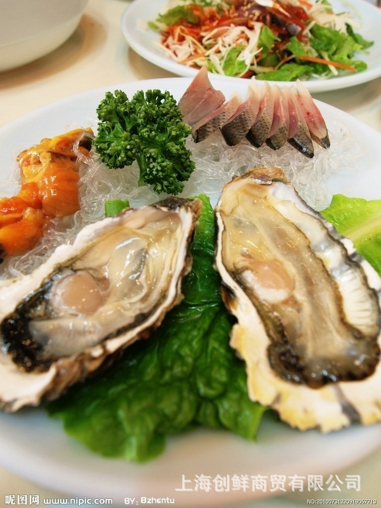 冷冻粗加工水产品-批发销售 优质冷冻海产 鲜活