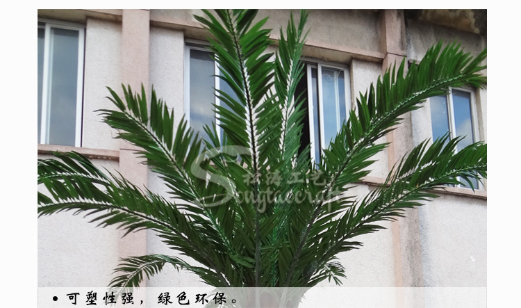 棕榈树_30