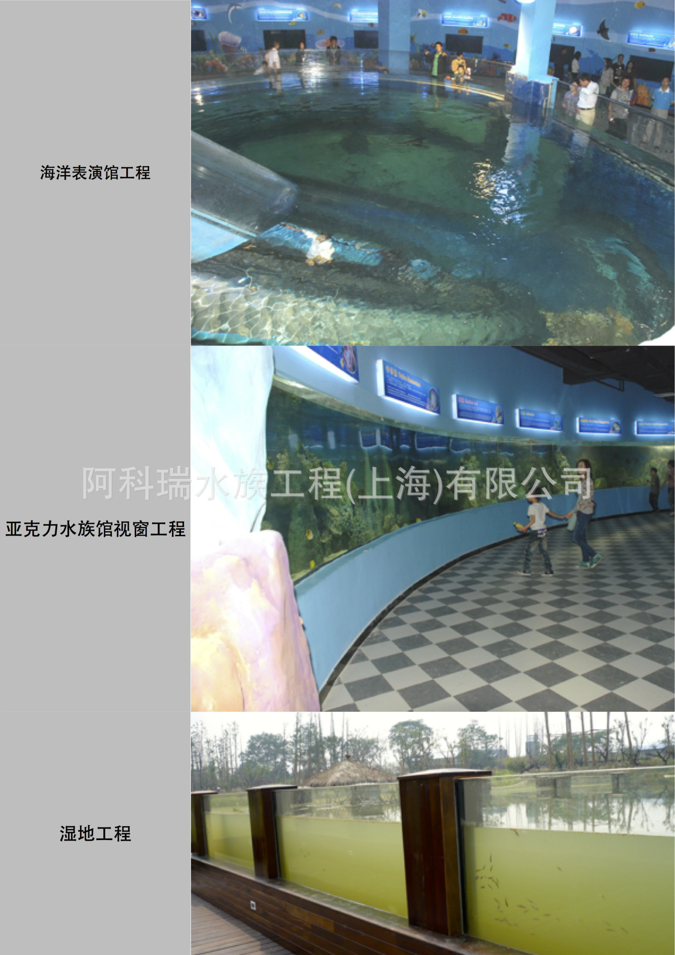 鱼缸中文副本5