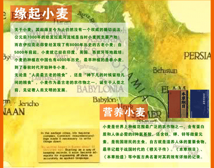 150克福寿面详情裁剪后_10