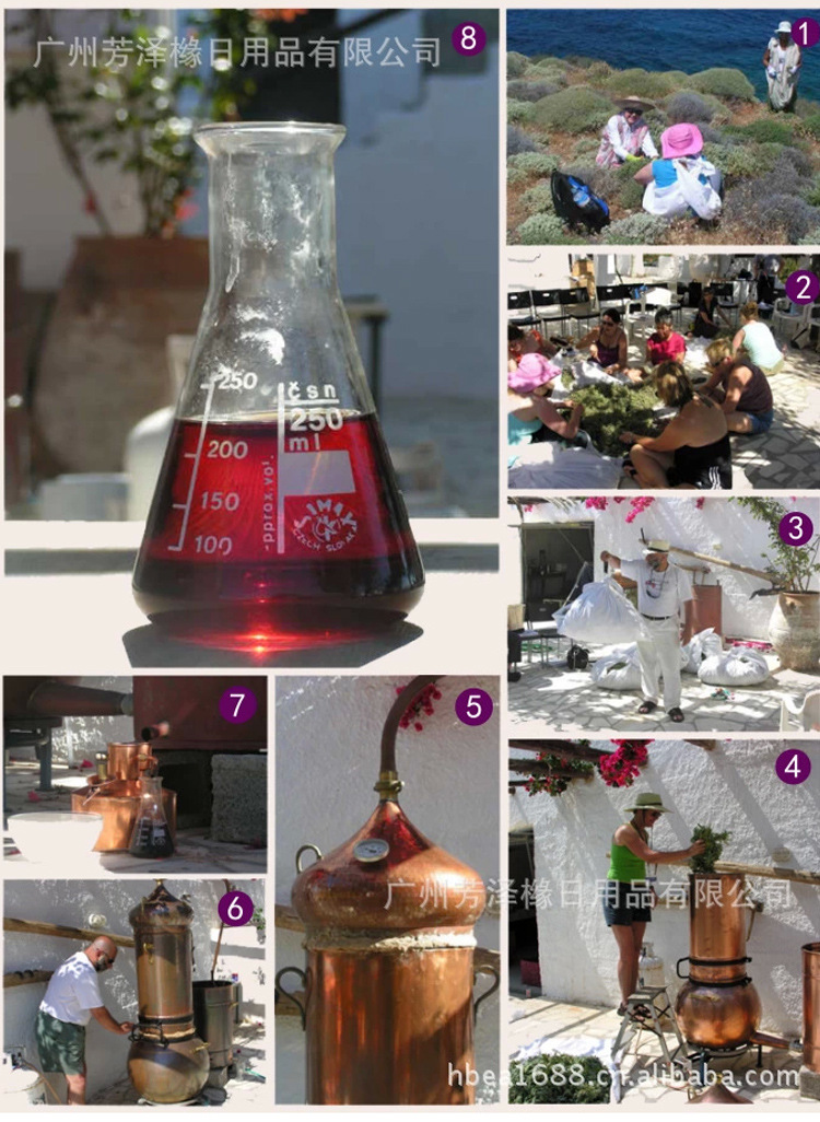 无色的荷荷芭油_03