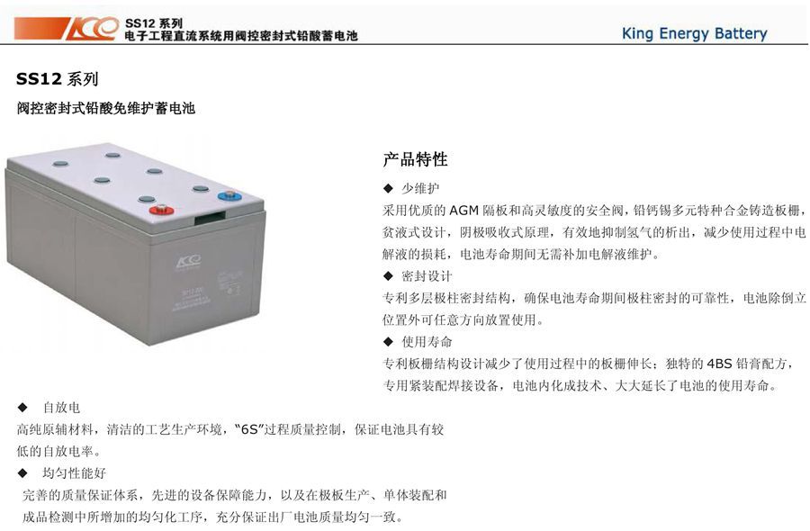 英国金能量蓄电池
