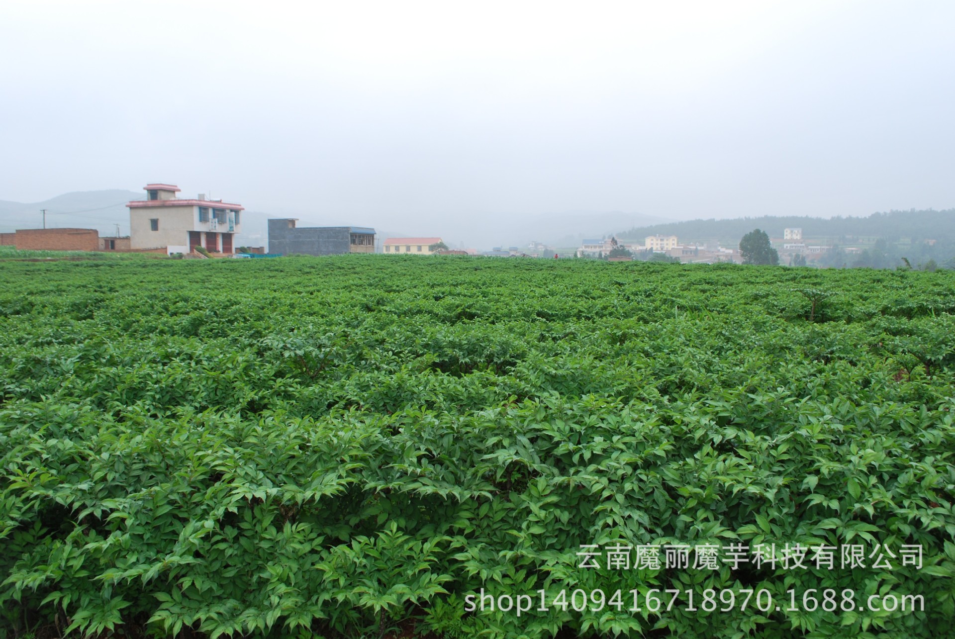 QQ图片20140831105640