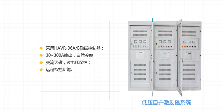 發電機勵磁系統_03