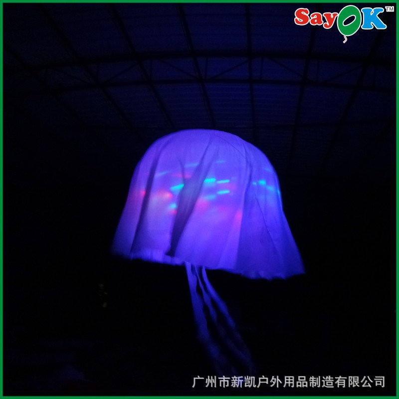 水母29