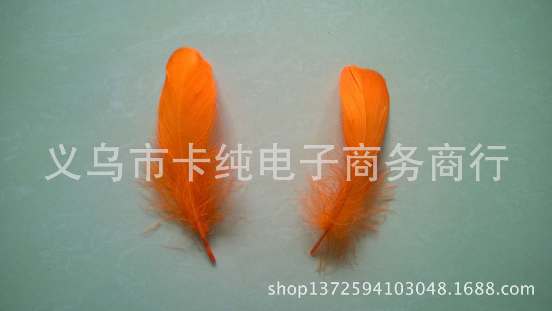 橘黄1