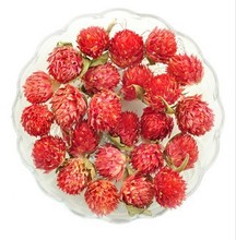 红巧梅_红巧梅价格_优质红巧梅批发\/采购