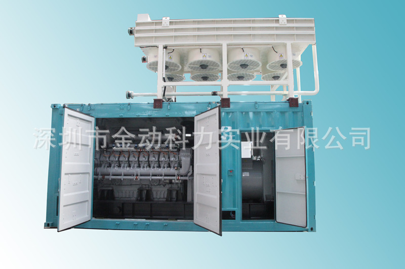 1沼气发电机组 (1)