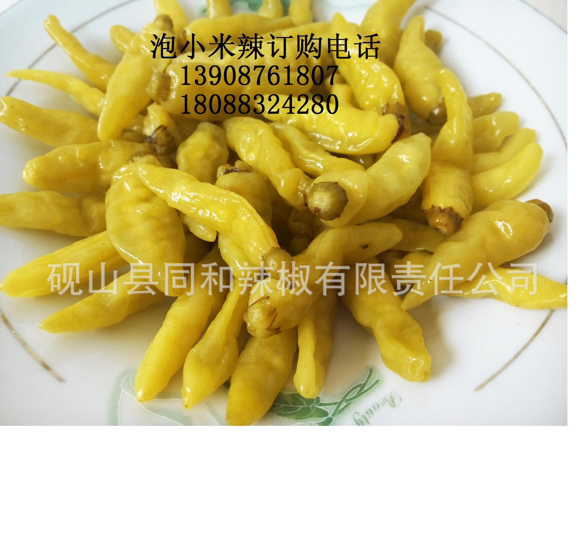 云南厂家供应一种蔬菜制品-泡小米辣-泡制小米辣