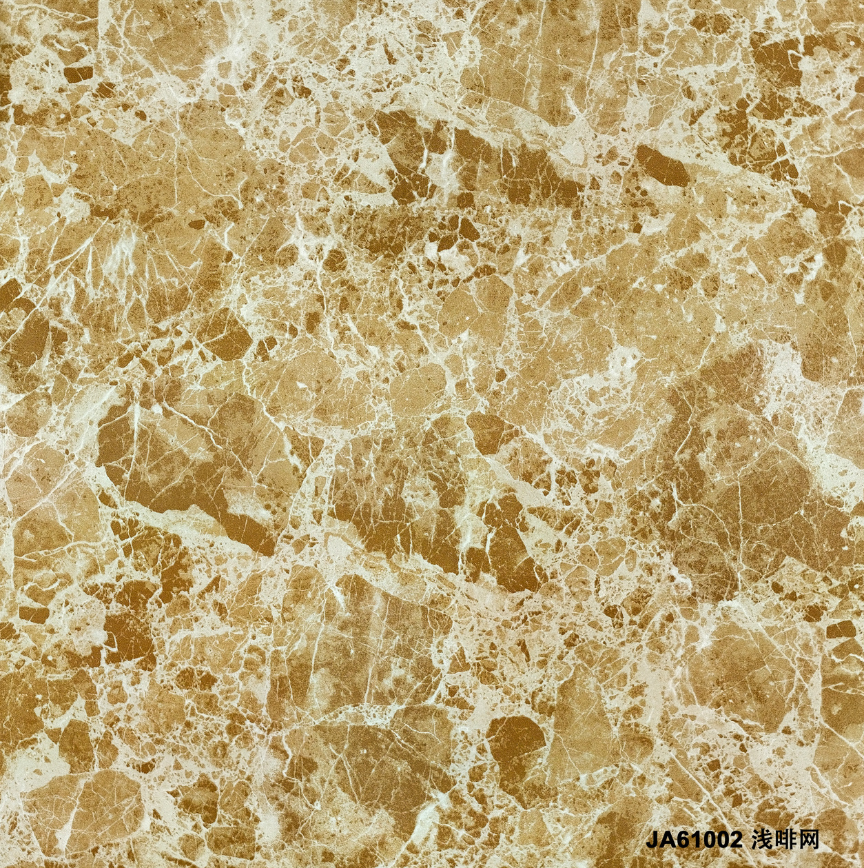 JA61002 浅啡网